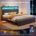 local goods image 201a0da87de 76015da5 1fa0 4d27 8e79 2c8614b445c1 800x800.jpeg.format