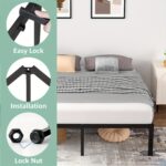 product fancy 13a41660 33d7 4020 b3cd df47129ac69e