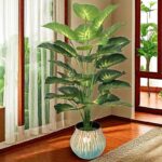 product fancy 621ad6b9 177a 4629 8a2a 3a2d56ca2543