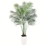 product fancy 79f667e6 329e 491e 8d7a 92a4113dfd8d