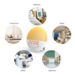 17df75d3 7b19 4a22 88e7 0d8d54c7f512.jpg