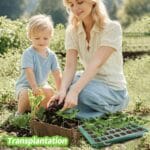 40-cell Seedling Trays With Grow Lights For Plants