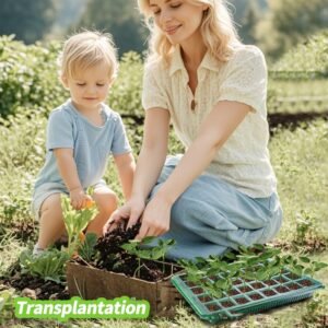 40-cell Seedling Trays With Grow Lights For Plants