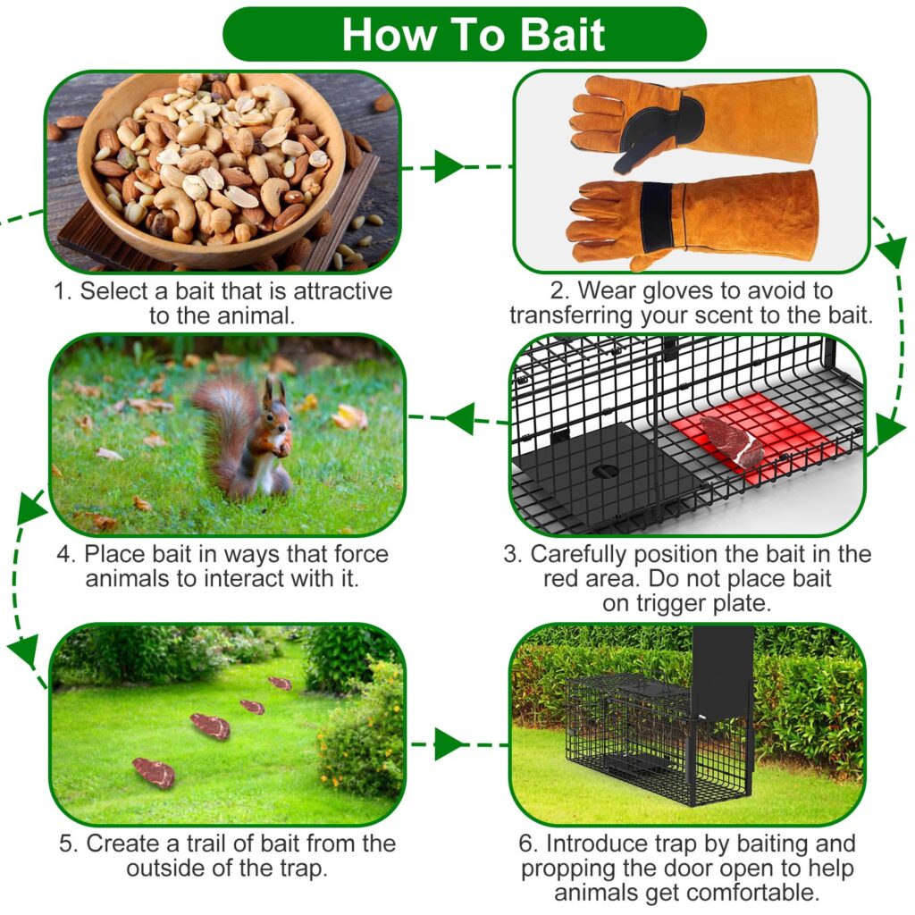 Live Animal Cage Trap For Animals Humane Galvanized Iron Trap Cage For Raccoons Armadillos Foxes Opossums Muskrats Beavers 26in 32in 40in Size Options