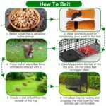 Live Animal Cage Trap For Animals Humane Galvanized Iron Trap Cage For Raccoons Armadillos Foxes Opossums Muskrats Beavers 26in 32in 40in Size Options