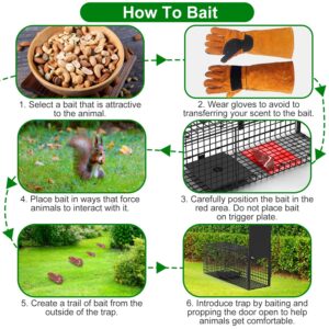 Live Animal Cage Trap For Animals Humane Galvanized Iron Trap Cage For Raccoons Armadillos Foxes Opossums Muskrats Beavers 26in 32in 40in Size Options