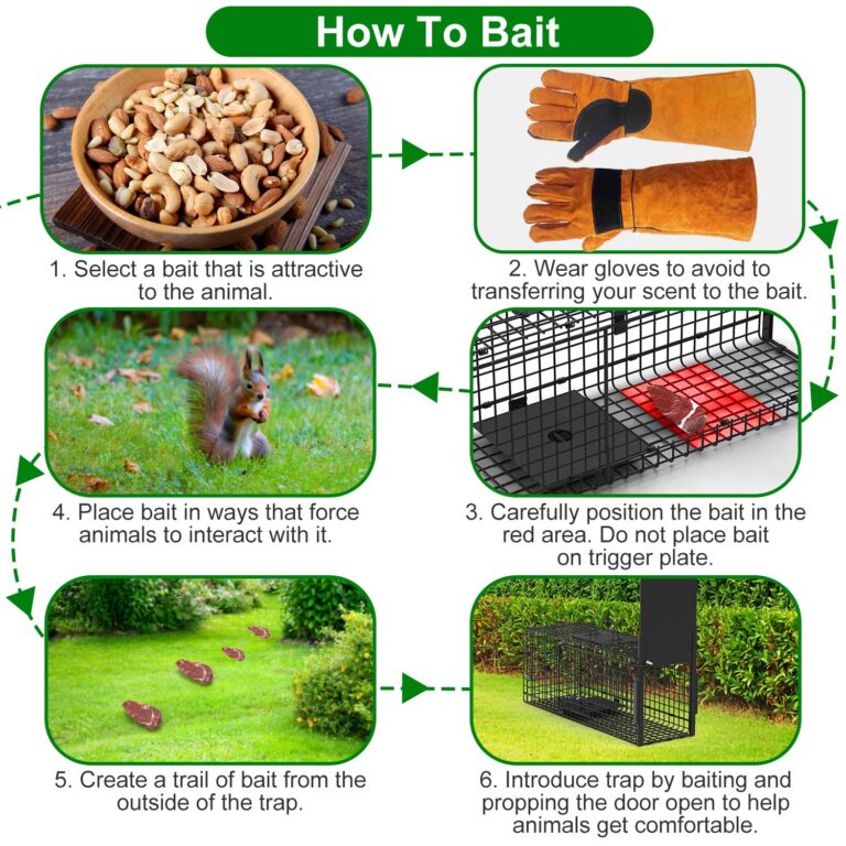 Live Animal Cage Trap For Animals Humane Galvanized Iron Trap Cage For Raccoons Armadillos Foxes Opossums Muskrats Beavers 26in 32in 40in Size Options
