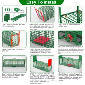 32in 2 Door Live Animal Cage Trap With Glove Green For Animals Under 12LBS Easy To Setup Humane Galvanized Iron Trap Cage For Rabbits Groundhogs Skunk Opossums Nutria Stray Cats