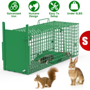Live Animal Cage Trap For Animals Humane Galvanized Iron Trap Cage For Raccoons Armadillos Foxes Opossums Muskrats Beavers 26in 32in 40in Size Options Green