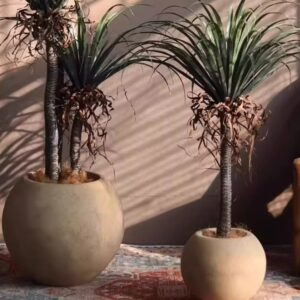 Plant Landing Round Large Flower Pot Decorative Vase