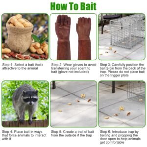 1Pc Humane Cat Trap Cage With Gloves Catch Release Live Animal Rodent Cage Collapsible Galvanized Wire For Raccoons Beavers Groundhogs Foxes Armadillos