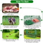 Live Animal Cage Trap For Animals Under Easy To Setup Humane Galvanized Iron Trap Cage For Raccoons Armadillos Groundhogs Muskrats Opossums Skunks