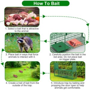 Live Animal Cage Trap For Animals Under Easy To Setup Humane Galvanized Iron Trap Cage For Raccoons Armadillos Groundhogs Muskrats Opossums Skunks