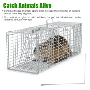 1Pc Humane Cat Trap Cage With Gloves Catch Release Live Animal Rodent Cage Collapsible Galvanized Wire For Raccoons Beavers Groundhogs Foxes Armadillos