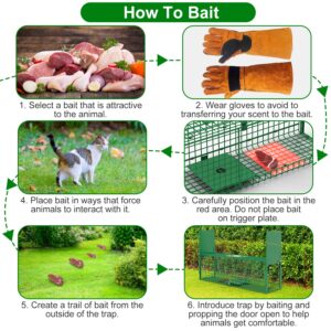 32in 2 Door Live Animal Cage Trap With Glove Green For Animals Under 12LBS Easy To Setup Humane Galvanized Iron Trap Cage For Rabbits Groundhogs Skunk Opossums Nutria Stray Cats