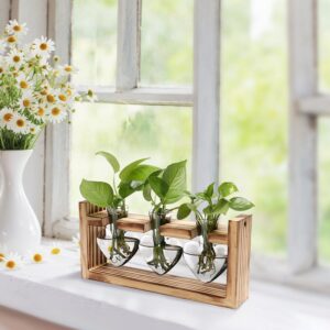 1Pc Plant Terrarium Propagation Station With 3 Heart Shaped Vases Wooden Stand Desktop Air Planter Bulb Glass Vase For Hydroponics Home Office Decor Gift For Plant Lovers
