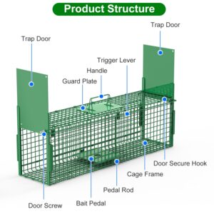32in 2 Door Live Animal Cage Trap With Glove Green For Animals Under 12LBS Easy To Setup Humane Galvanized Iron Trap Cage For Rabbits Groundhogs Skunk Opossums Nutria Stray Cats