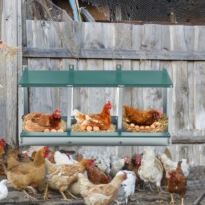 Metal Nesting Boxes For Chicken,3 Compartment Nesting Box,Galvanized Steel Nesting Boxes For Hens, Easy To Assemble