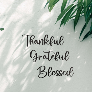 3-Piece Give Thanks’ Scripture Wall Art Set