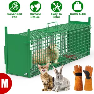 32in 2 Door Live Animal Cage Trap With Glove Green For Animals Under 12LBS Easy To Setup Humane Galvanized Iron Trap Cage For Rabbits Groundhogs Skunk Opossums Nutria Stray Cats