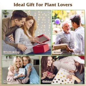 1Pc Plant Terrarium Propagation Station With 3 Heart Shaped Vases Wooden Stand Desktop Air Planter Bulb Glass Vase For Hydroponics Home Office Decor Gift For Plant Lovers