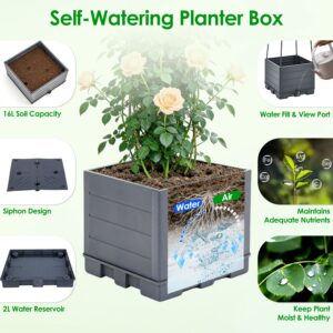 2Pack Raised Garden Bed Boxes With Trellis 56in Tomato Self-Watering Planter Box Indoor Outdoor With 4 Adjustable Heights 10 Clips 65FT Ties For Climbing Vegetables Flowers Vines