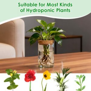 4Pack Glass Propagation Stations For Plants Indoor Glass Planters Hydroponic Plant Vases 2 Large 2 Small For Plant Cuttings Flower Arrangements