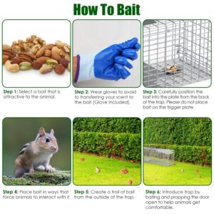 Live Animal Trap Cage 27x7.5x8in Folding Catch And Release Steel Humane Cat Trap For Racoons Stray Cats Rabbits Beavers Hedgehogs Chipmunk Small Animals