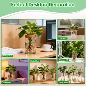 4Pack Glass Propagation Stations For Plants Indoor Glass Planters Hydroponic Plant Vases 2 Large 2 Small For Plant Cuttings Flower Arrangements