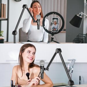 Microphone Boom Arm Stand For Live Streaming And Singing, With Universal Swivel And Foldable Design