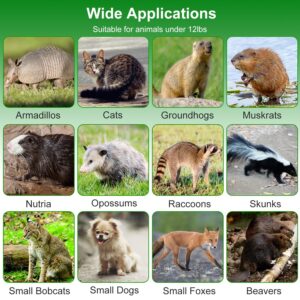 32in 2 Door Live Animal Cage Trap With Glove Green For Animals Under 12LBS Easy To Setup Humane Galvanized Iron Trap Cage For Rabbits Groundhogs Skunk Opossums Nutria Stray Cats