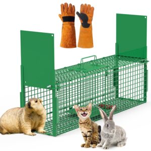 32in 2 Door Live Animal Cage Trap With Glove Green For Animals Under 12LBS Easy To Setup Humane Galvanized Iron Trap Cage For Rabbits Groundhogs Skunk Opossums Nutria Stray Cats
