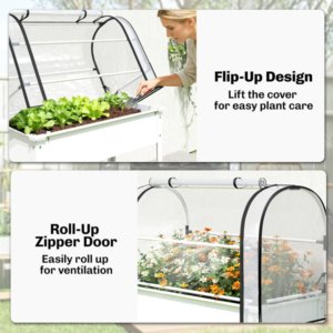 Garden Bed With Mini Greenhouse
