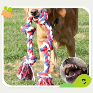 Dog Rope Toys Large XXL Rope Toys For Large Dogs Teeth Cleaning Tug Of War