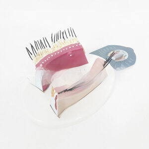 Eyelid Model Sensory System Model