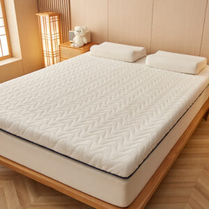 Household Fashionable New Lambswool Mattress