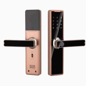Indoor Fingerprint Lock For Entrance Doors And Office Doors Electronic Smart Lock