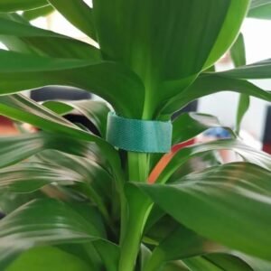 Green Plant Velcro Cable Ties For Climbing Vines And Branches
