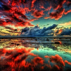 Digital Coloring Oil Painting Hand-Painted Color Painting