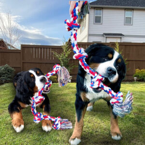 Dog Rope Toys Large XXL Rope Toys For Large Dogs Teeth Cleaning Tug Of War