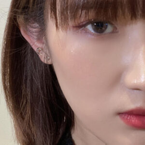 S925 Sterling Silver Korean-style Pin Earrings