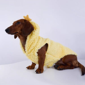 Original Star Hat Fleece-Lined Thickened Warm Pet Clothes