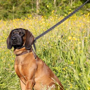 Integrated Anti-Bite Muzzle & Leash For Dogs Dog Lead Waste Bag Dispenser