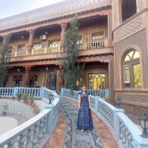 V-neck Lace Puff Sleeve Embroidered Solid Color Dress