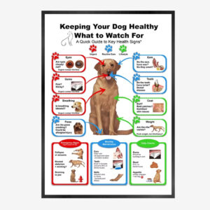 Cat And Dog Health Care Matters Hanging Pictures Veterinary Clinic Pets