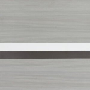 CRAZY ELF 36x 80 Melamine Integrated Door Slab, No Assembly Required, Covered With 2mm Thick Melamine Protective Layer, Environmental-Friendly, Waterproof, Moisture-proof, Deformation Resistant