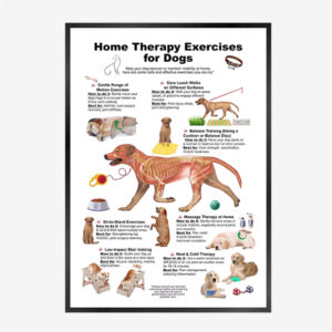 Cat And Dog Health Care Matters Hanging Pictures Veterinary Clinic Pets