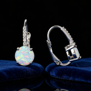 Platinum-plated Round Ear Hooks Chic And Fashionable