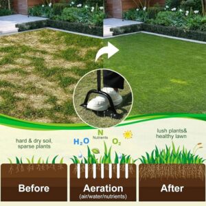 Lawn Aerator Tool Garden Spike Grass Gardening Scarrier Utensil Tool Tool