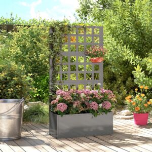 Galvanized Raised Garden Bed Planter Box with Trellis for Climbing Plants, Vegetable, Vines, 24" x 9" x 44.5", Gray